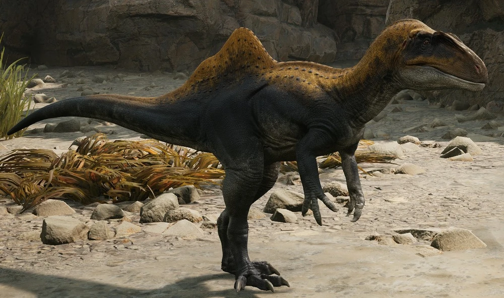 Concavenator