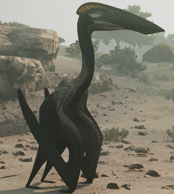 Hatzegopteryx